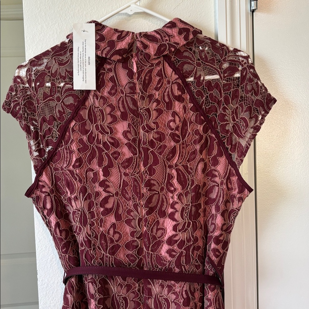 Eva Mendes Floral Lace Dress in Pink and Burgundy - Picture 4 of 5